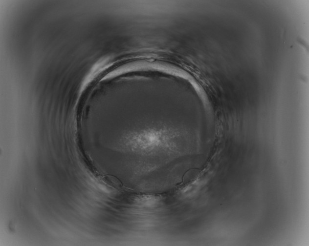 X0000097490198200803071747