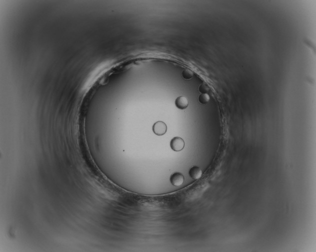 X0000097490199200803071747