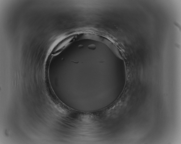 X0000097490200200803071747