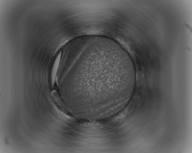 X0000097490201200803071747