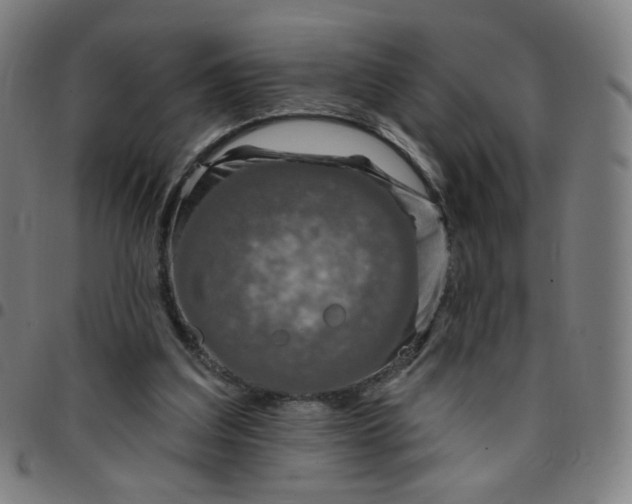 X0000097490203200803071747