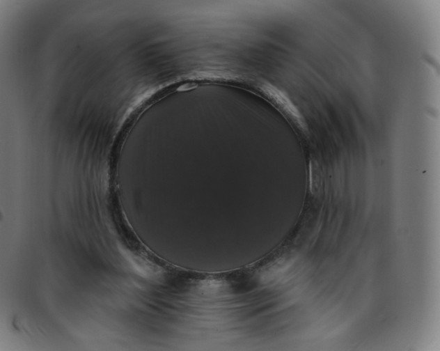 X0000097490204200803071747