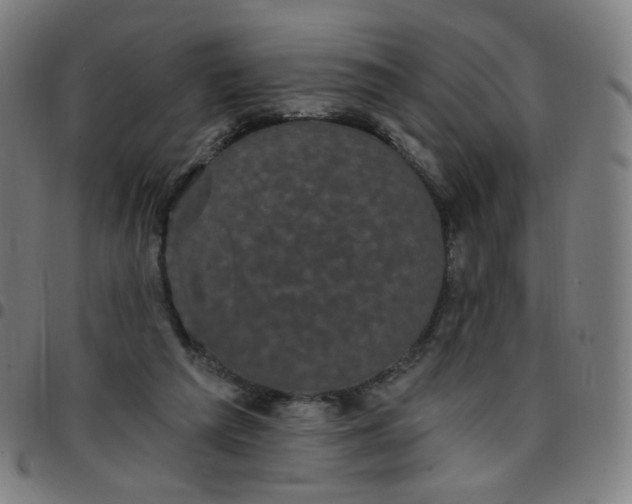 X0000097490209200803071747