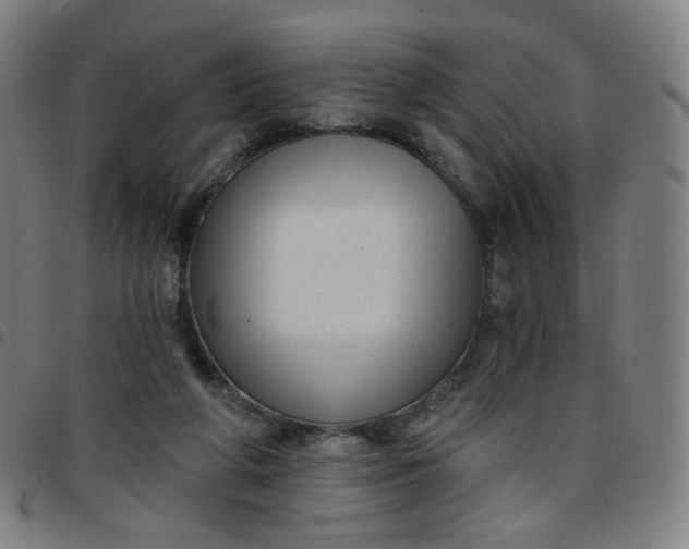 X0000097490210200803071747