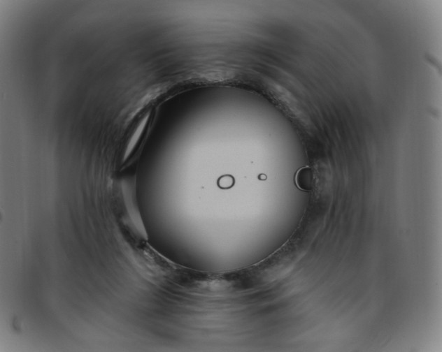 X0000097490212200803071746