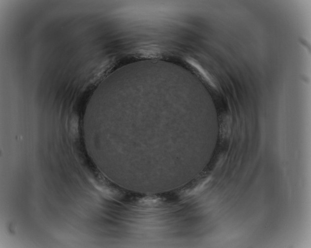 X0000097490213200803071746