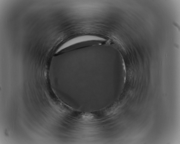 X0000097490214200803071746