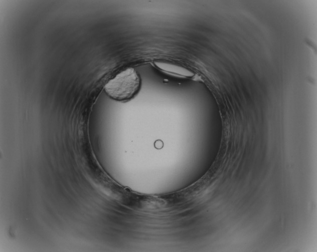 X0000097490215200803071746