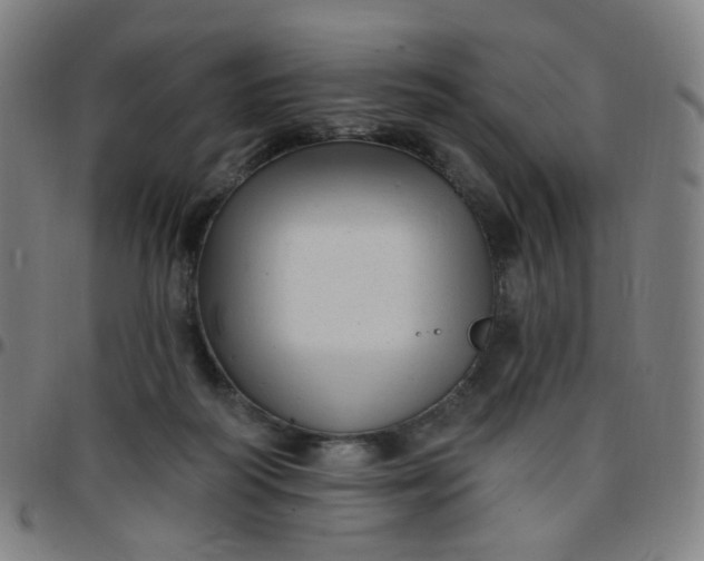 X0000097490218200803071746