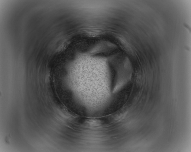 X0000097490221200803071746