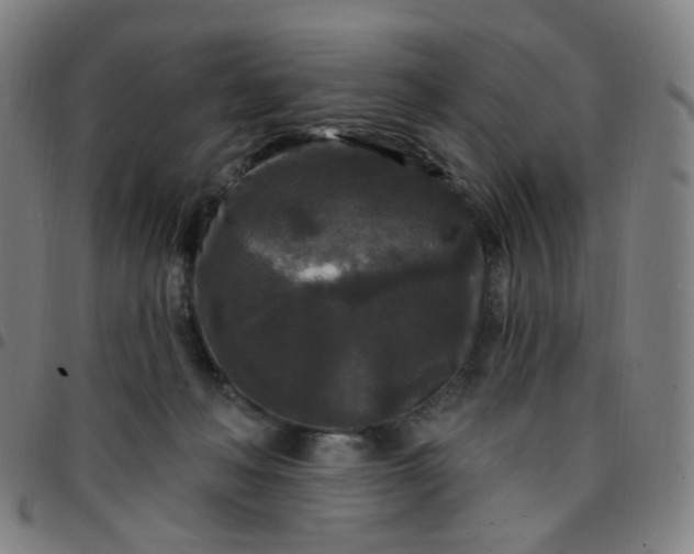 X0000097490222200803071746