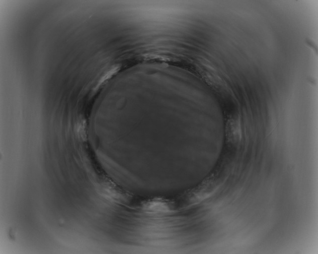 X0000097490224200803071746