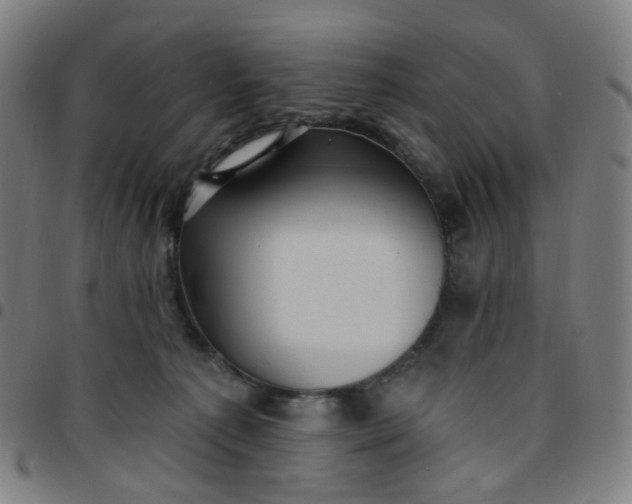 X0000097490225200803071746