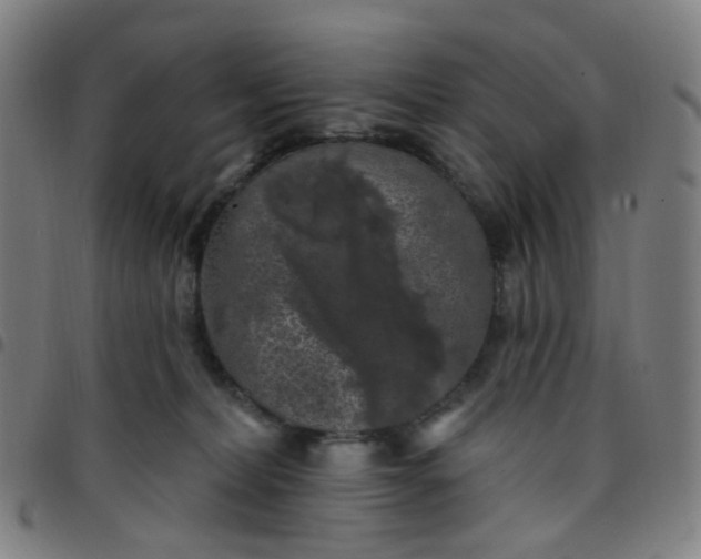 X0000097490228200803071746