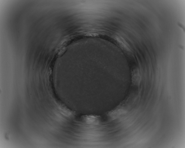 X0000097490229200803071746