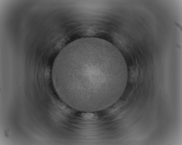 X0000097490230200803071746