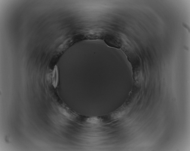 X0000097490231200803071746