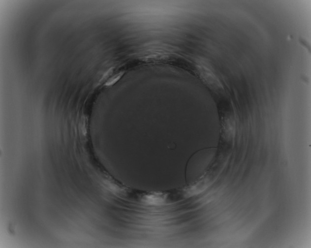 X0000097490232200803071746