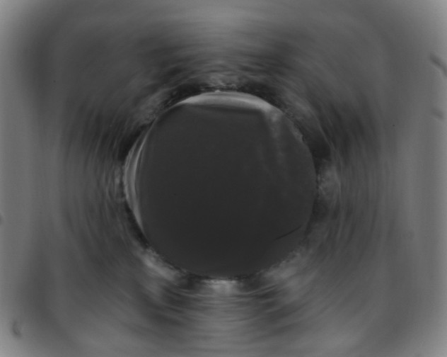 X0000097490233200803071746