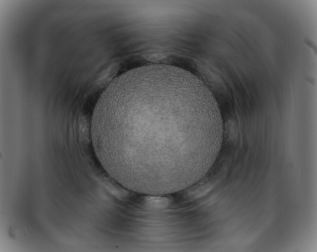 X0000097490234200803071746