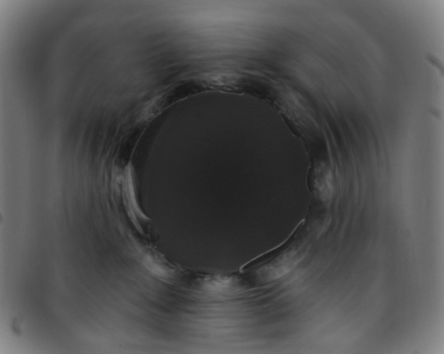 X0000097490235200803071746