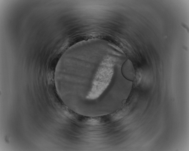 X0000097490236200803071746