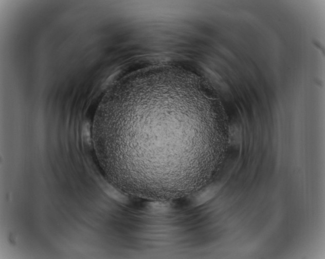 X0000097490238200803071746