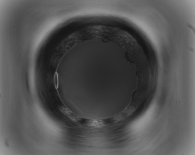 X0000097490239200803071746