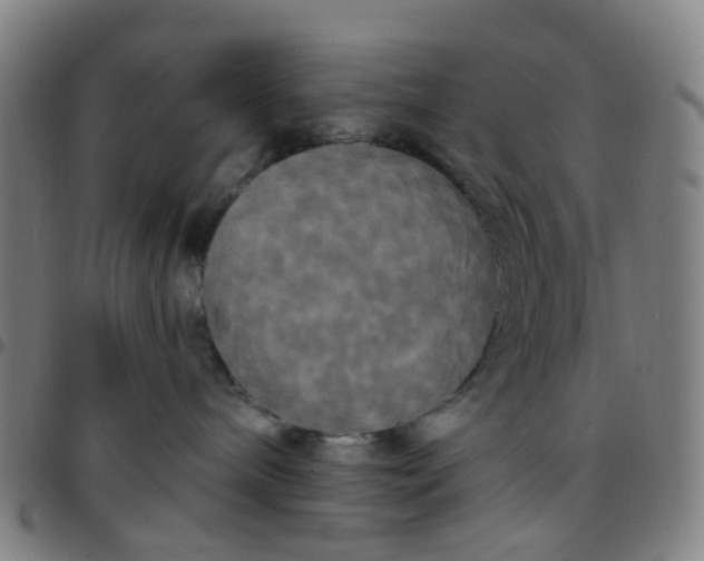 X0000097490240200803071746