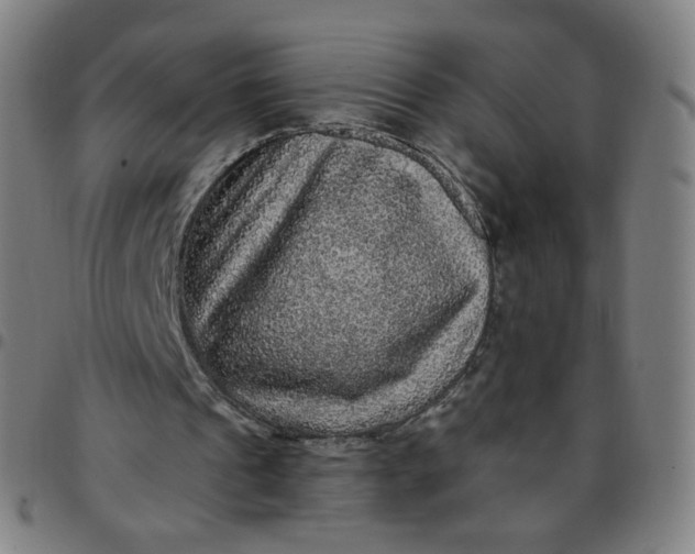 X0000097490241200803071745