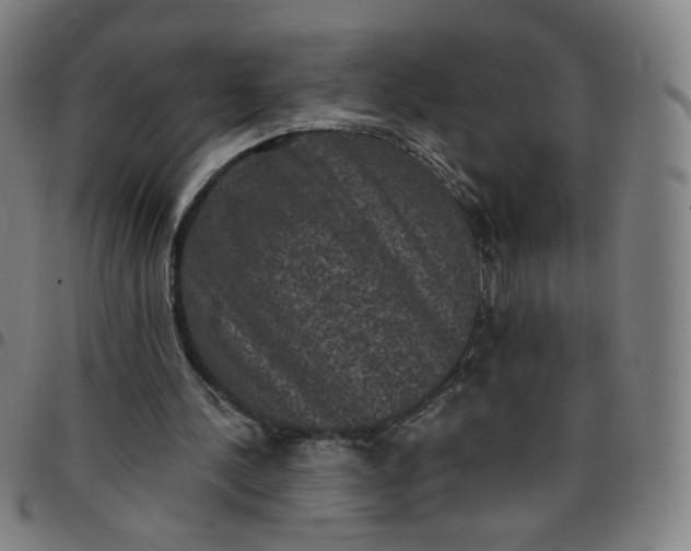 X0000097490244200803071745