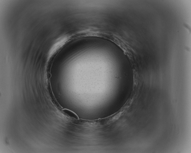 X0000097490245200803071745