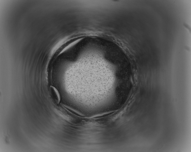 X0000097490246200803071745