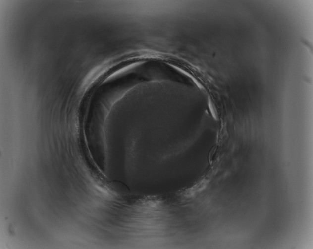 X0000097490247200803071745