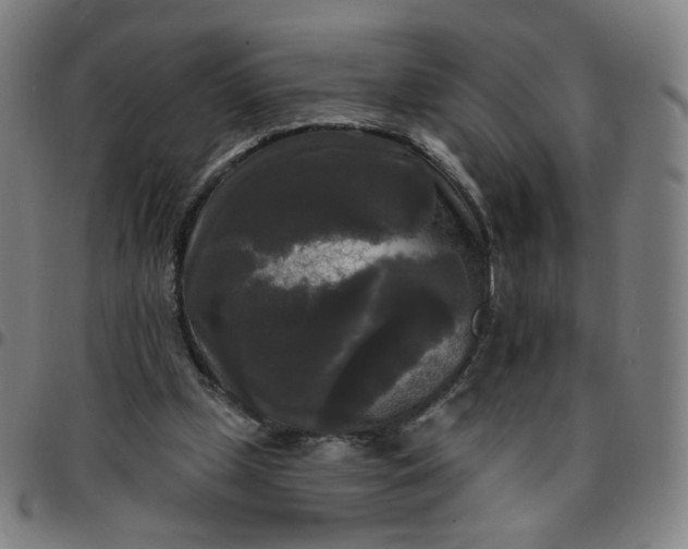 X0000097490249200803071745