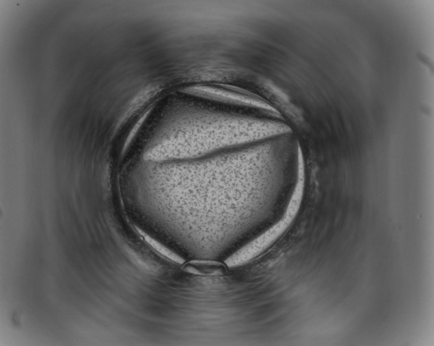 X0000097490250200803071745