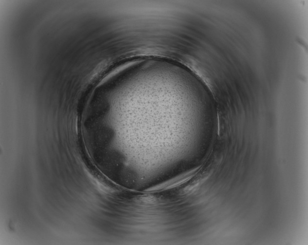 X0000097490253200803071745