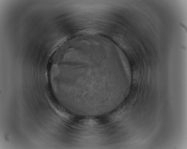 X0000097490254200803071745