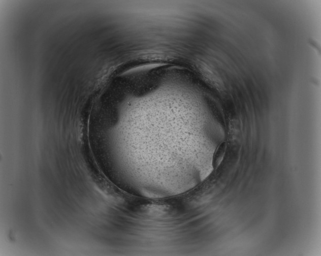 X0000097490255200803071745