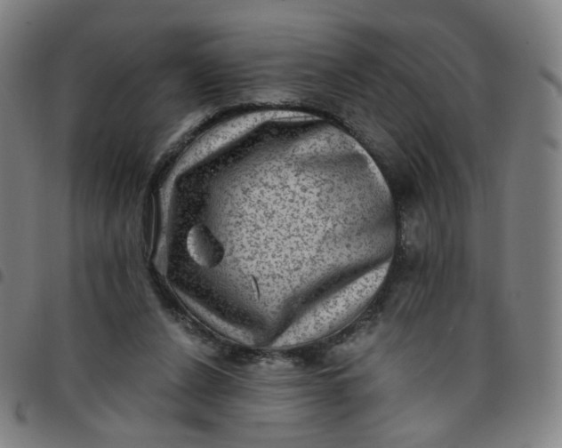 X0000097490256200803071746