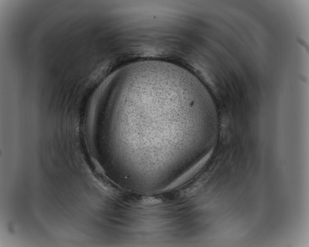 X0000097490257200803071746