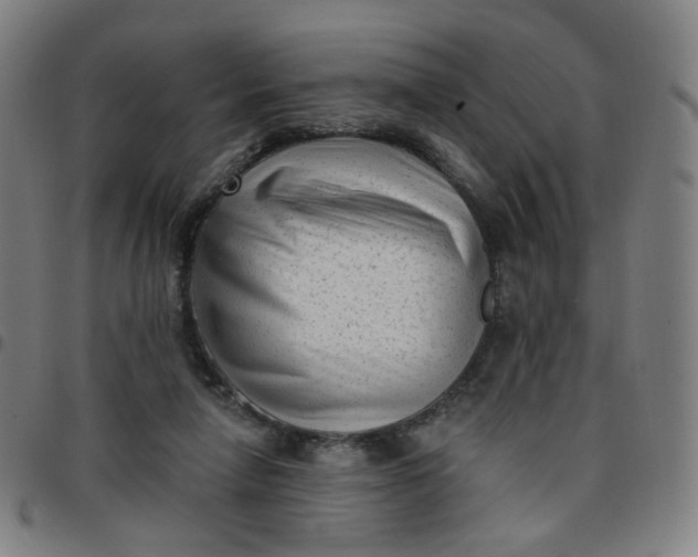 X0000097490258200803071746