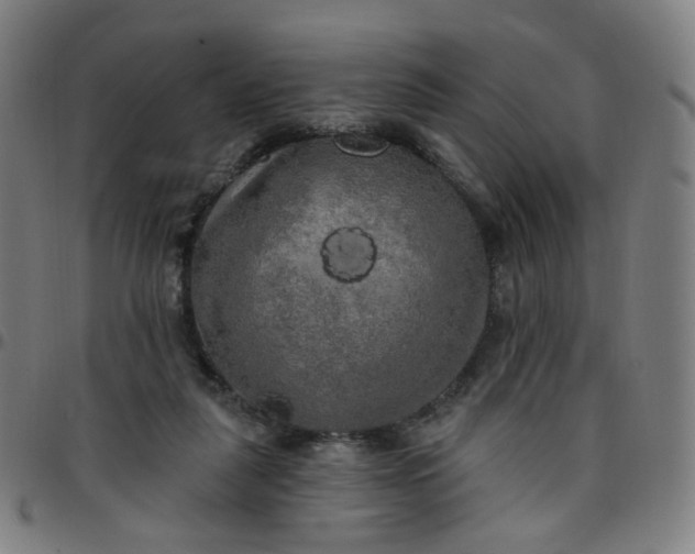 X0000097490259200803071746