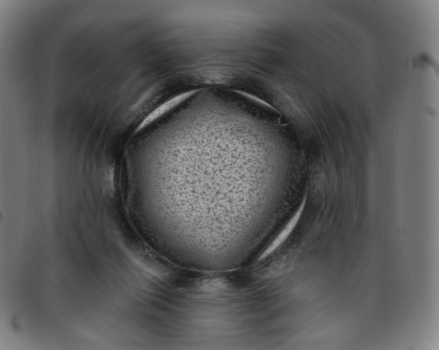 X0000097490262200803071746