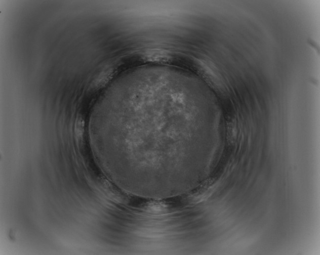 X0000097490263200803071746