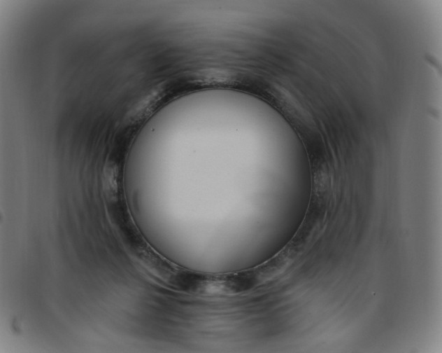 X0000097490264200803071746