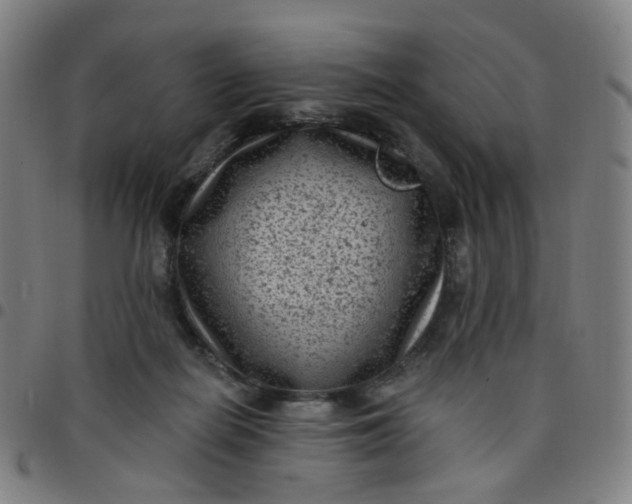 X0000097490266200803071746