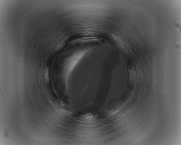 X0000097490267200803071746