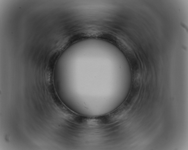 X0000097490268200803071746