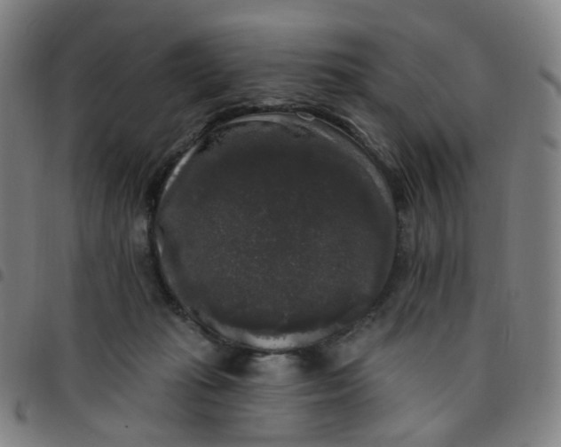 X0000097490269200803071746